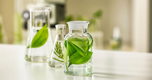 Le futur de la parfumerie : Innovation et traditions.