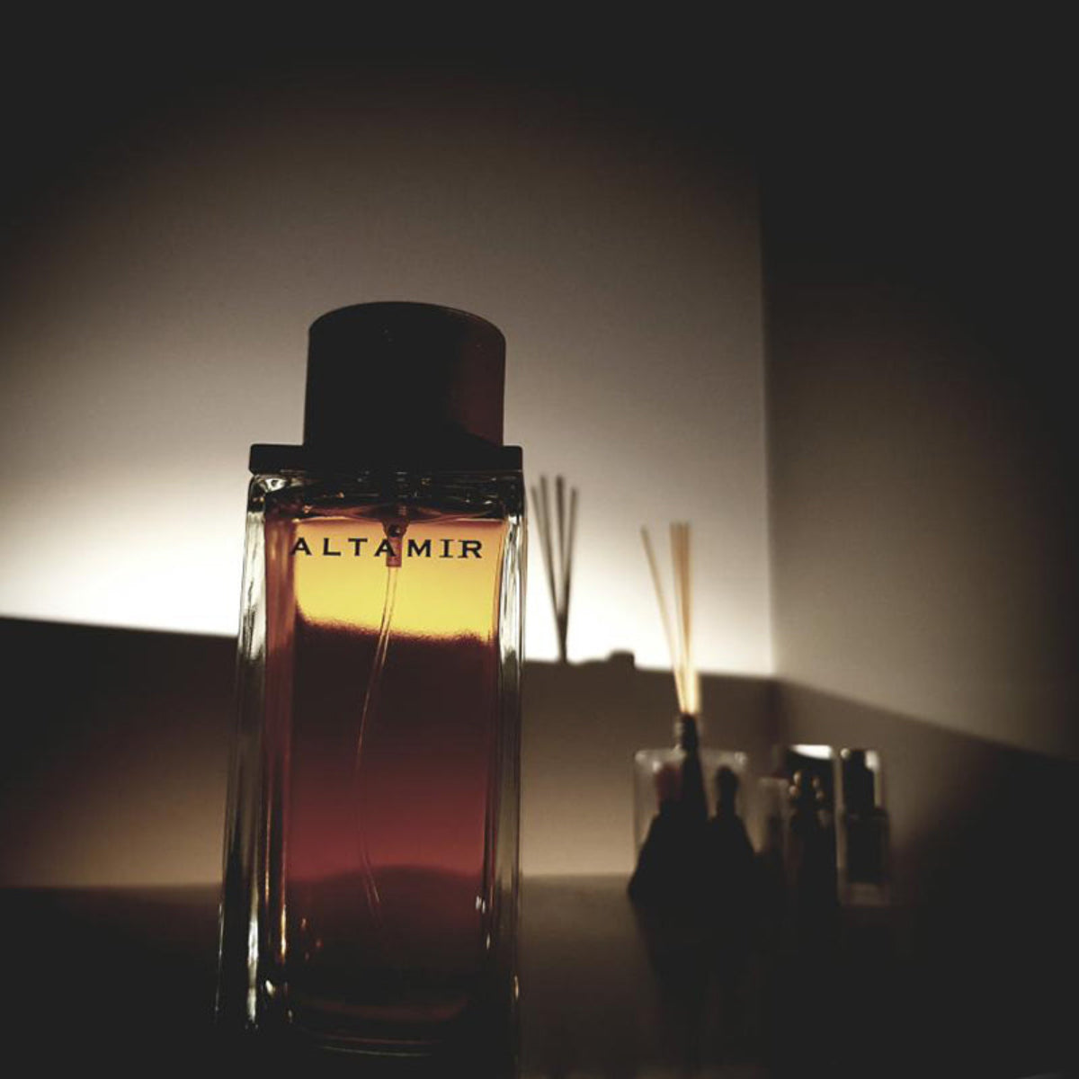 Ted Lapidus - Altamir - Eau de Toilette pour homme