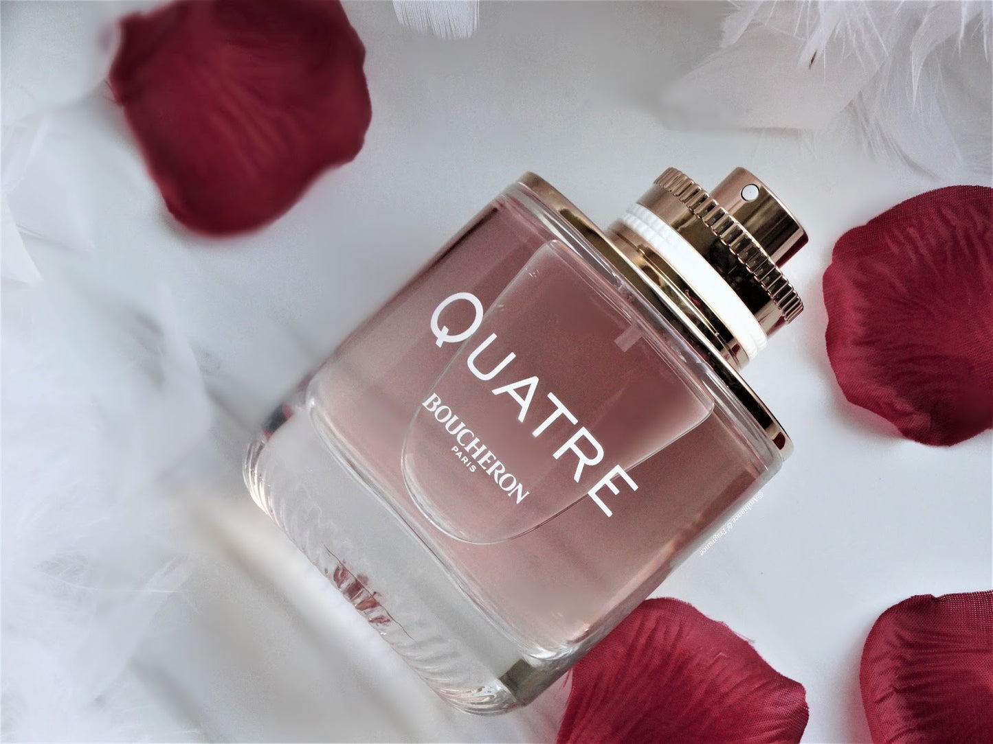 Parfums Quatre de la marque Boucheron pour femme 100 ml