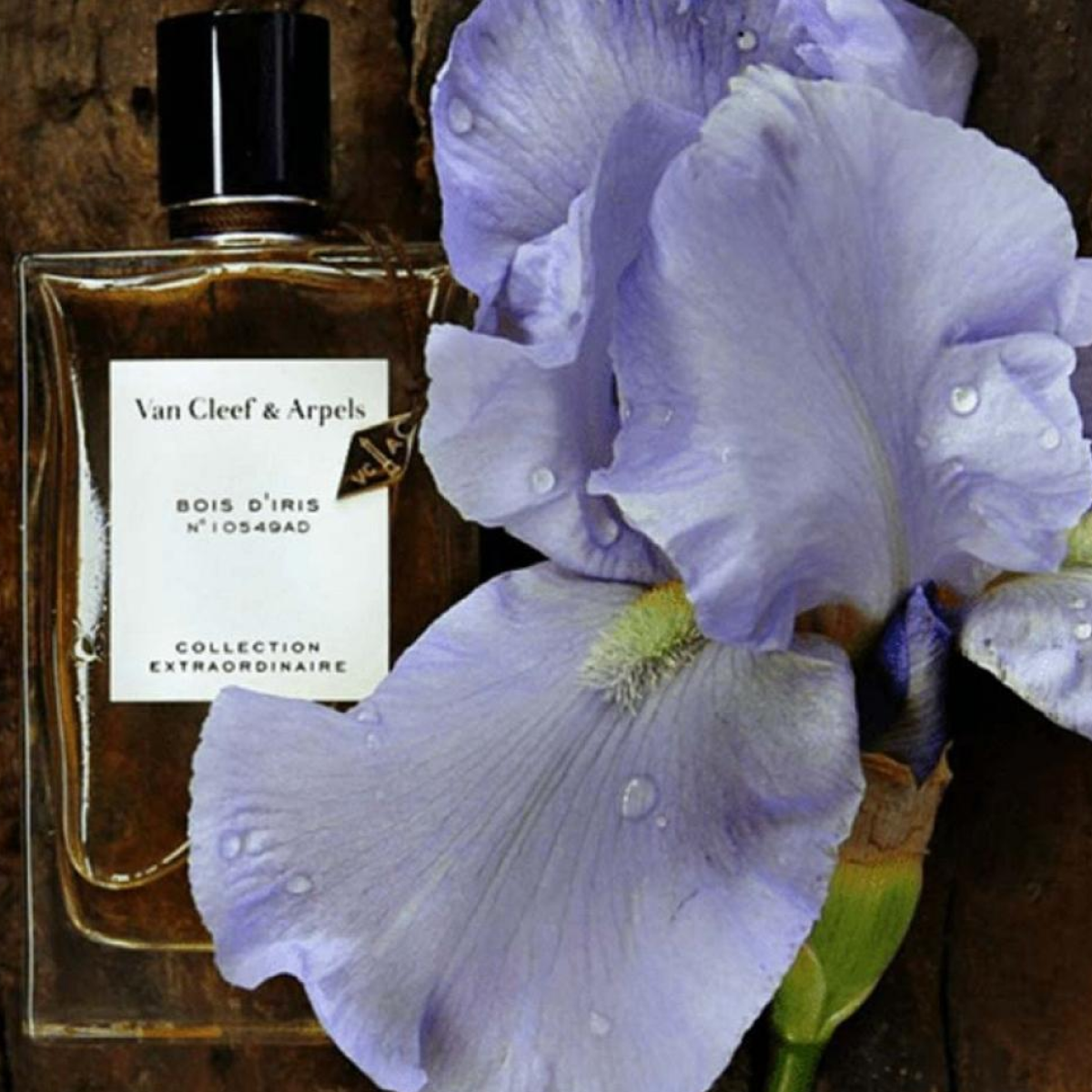 Van Cleef & Arpels - Bois D'iris Collection Extraordinaire - Eau de Parfum Mixte