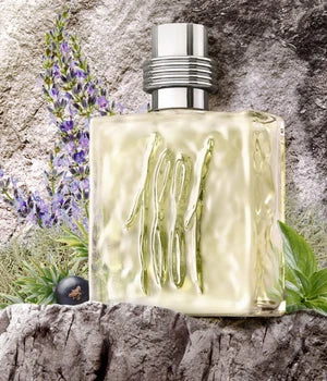 Cerruti - 1881 Vert - Eau de Toilette pour homme