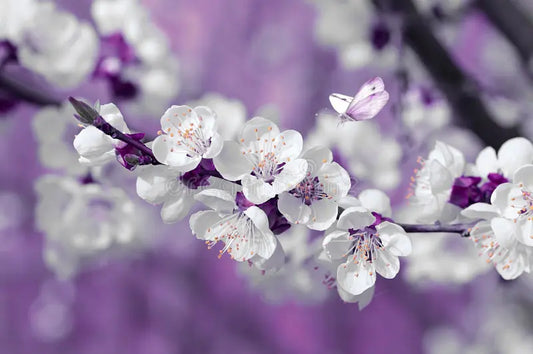 Magie et mystère : quand le parfum devient un conte olfactif