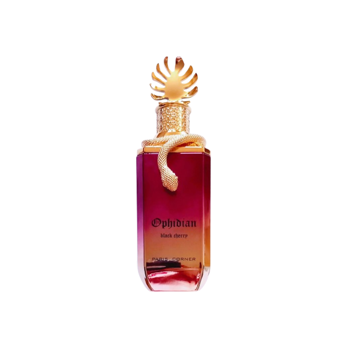 Paris Corner - Ophidian Black Cherry - Eau de Parfum Mixte