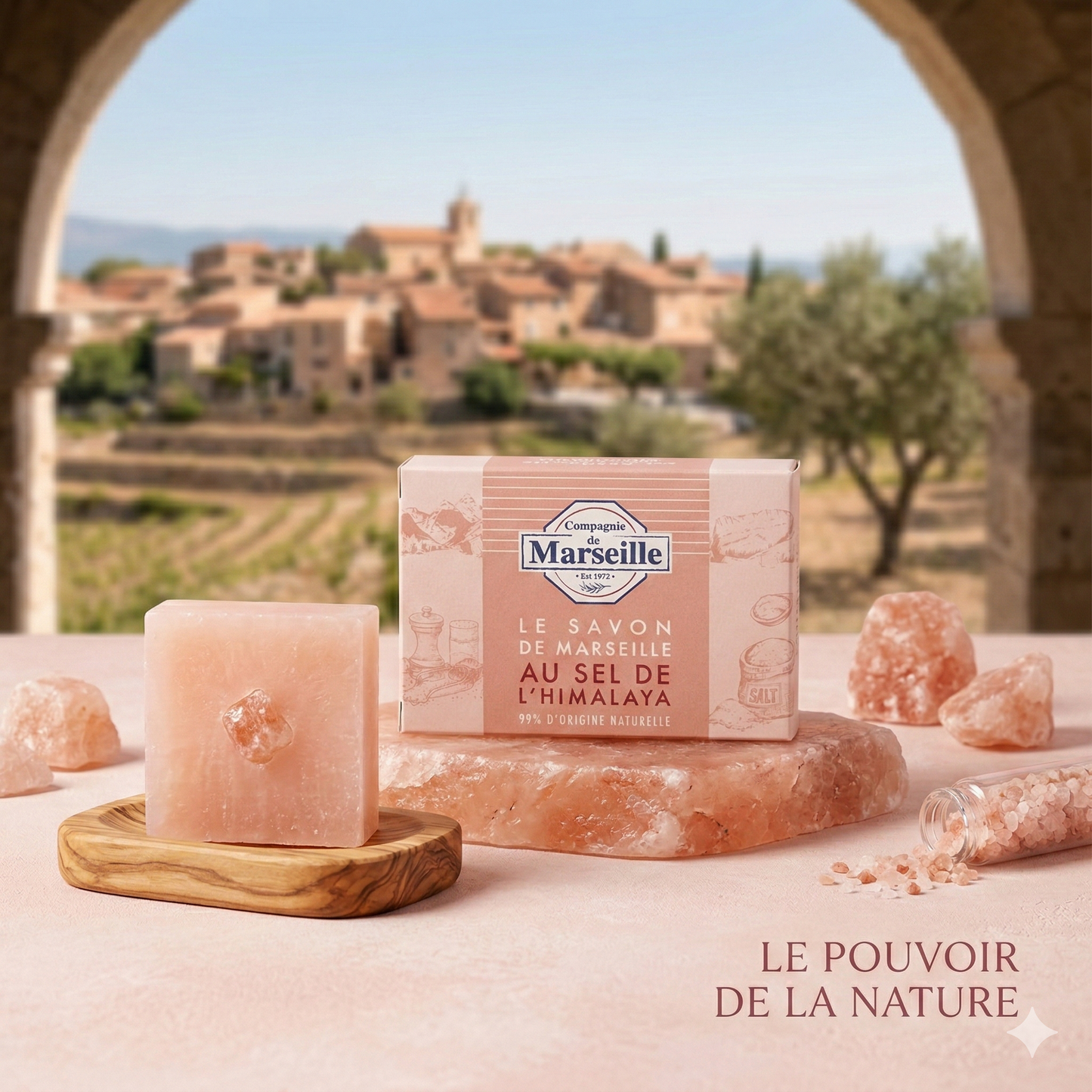 Compagnie de Marseille - Sel D'Himalaya - Savon de Marseille 99% d'Origine Naturelle