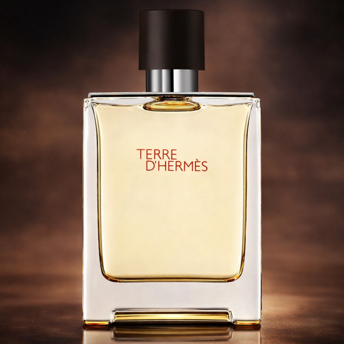 Hermès - Terre D'hermès - Eau de Toilette pour homme