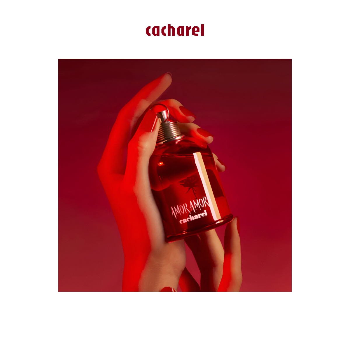 Cacharel - Amor Amor - Eau de Toilette pour femme