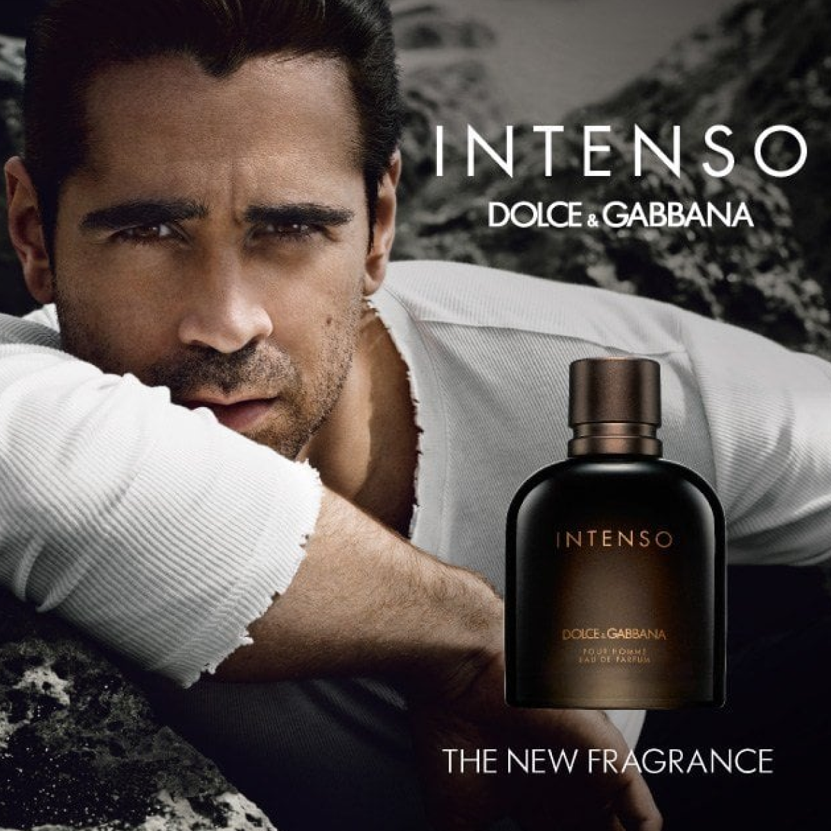 Dolce & Gabbana - Intenso - Eau de Parfum pour homme