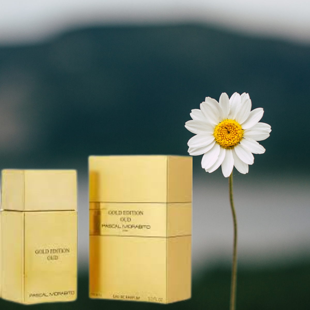 Pascal Morabito - Gold Edition Oud - Eau de Toilette pour homme