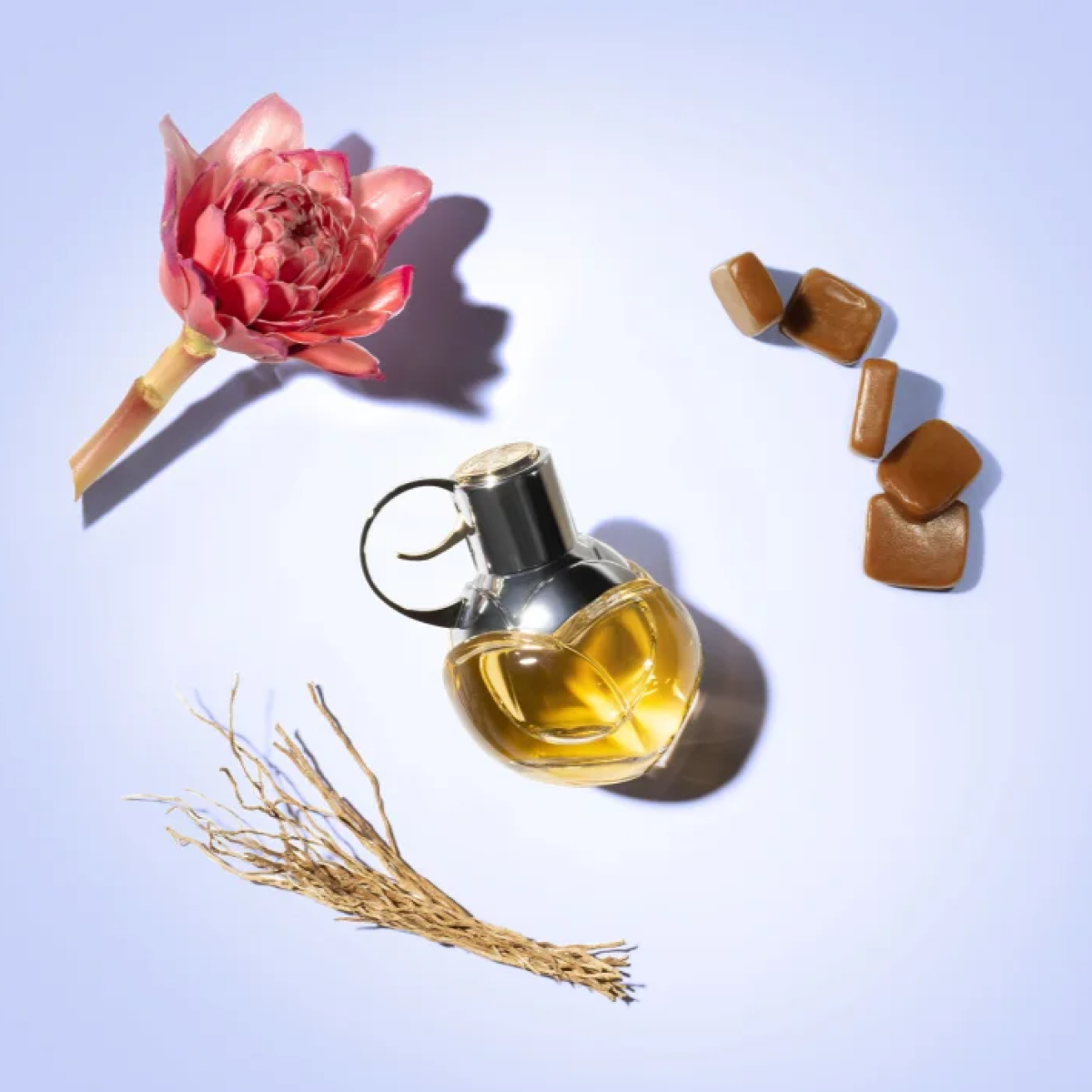 Azzaro - Wanted Girl - Eau de Parfum pour femme