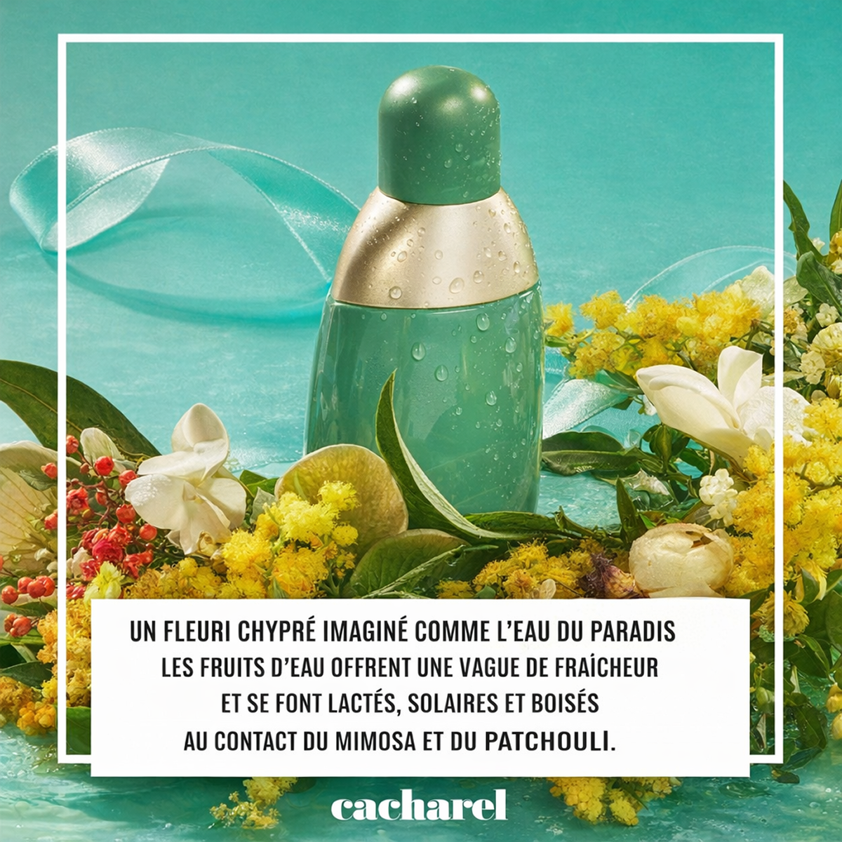 Cacharel - Eden - Eau de Parfum pour femme