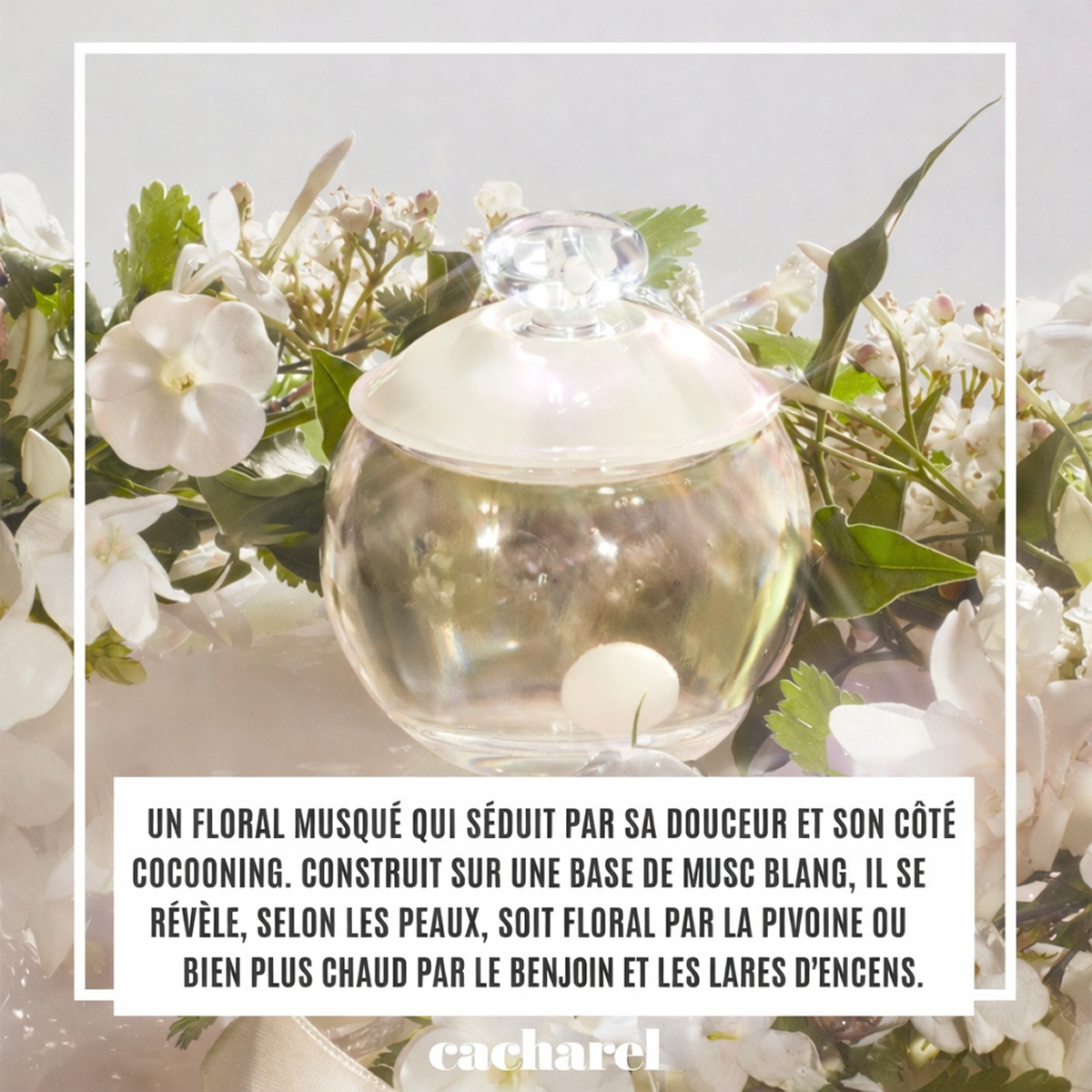 Cacharel - Noa - Eau de Toilette pour femme