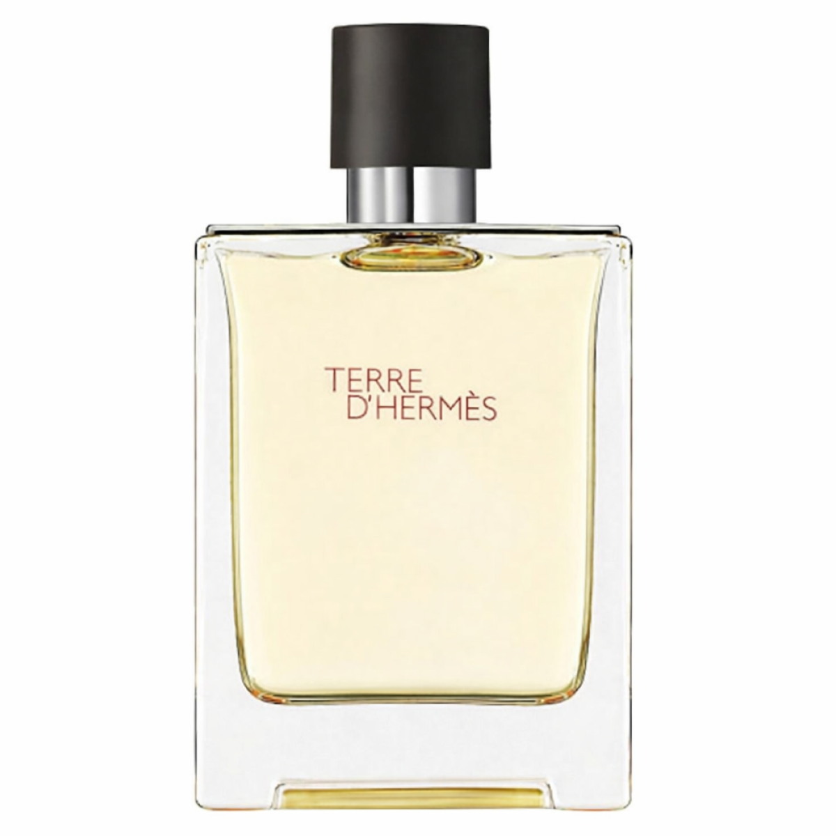 Hermès - Terre D'hermès - Eau de Toilette pour homme