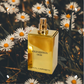 Pascal Morabito - Gold Edition Oud - Eau de Toilette pour homme