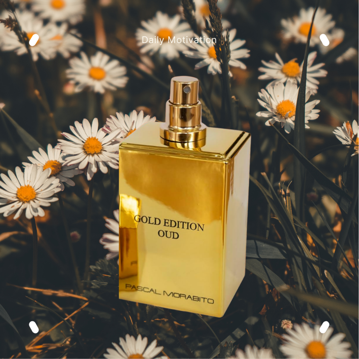 Pascal Morabito - Gold Edition Oud - Eau de Toilette pour homme