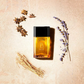 Azzaro - Azzaro pour homme - Eau de Toilette pour homme