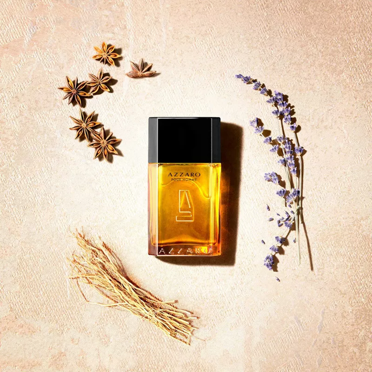 Azzaro - Azzaro pour homme - Eau de Toilette pour homme