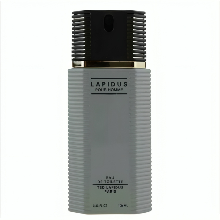 Ted Lapidus - Lapidus pour homme Gris - Eau de Toilette pour homme