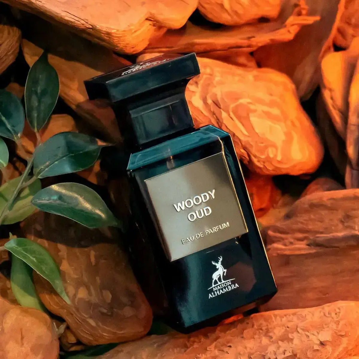 Maison Alhambra - Woody Oud - Eau de Parfum Mixte