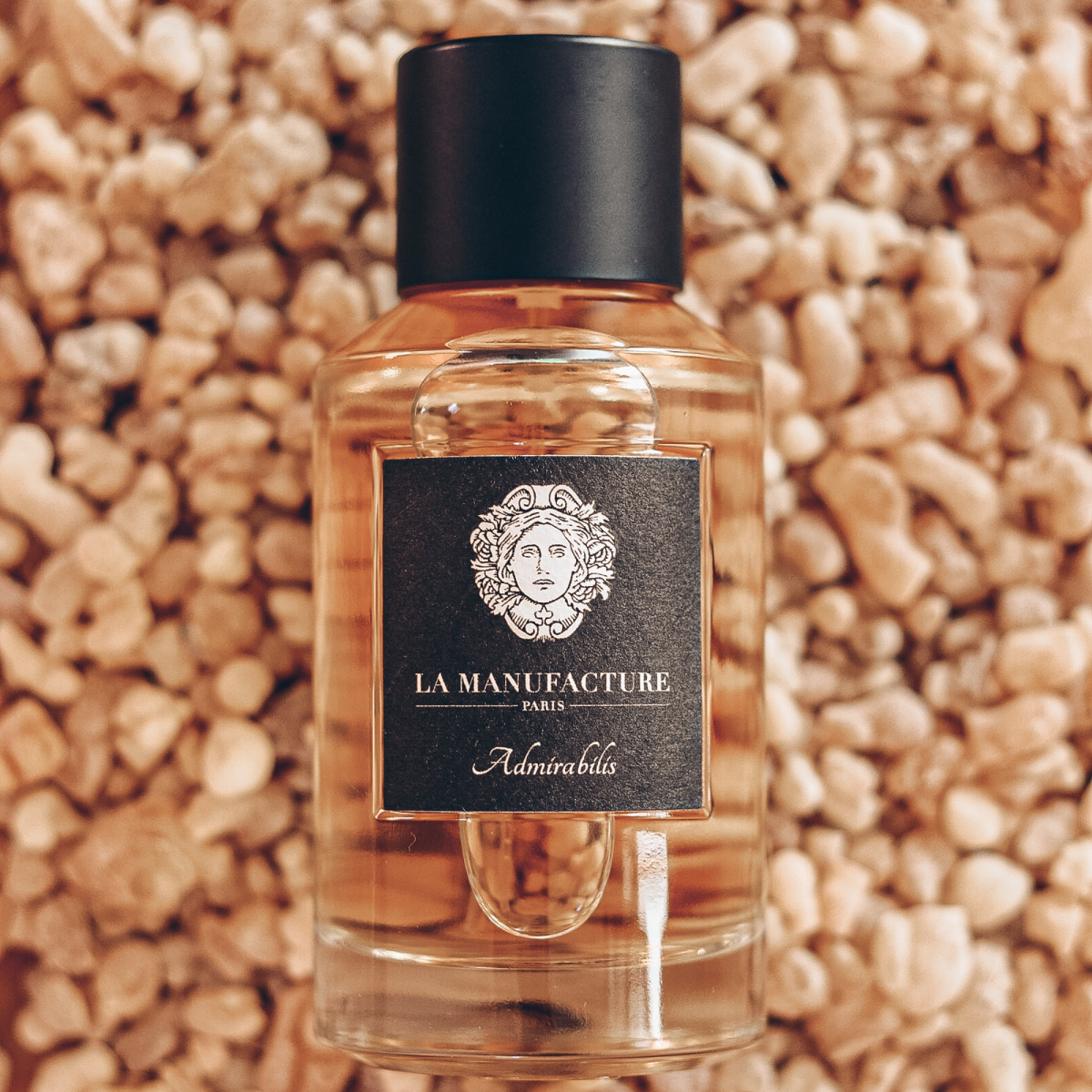 la Manufacture - Admirables - Eau de Parfum Mixte