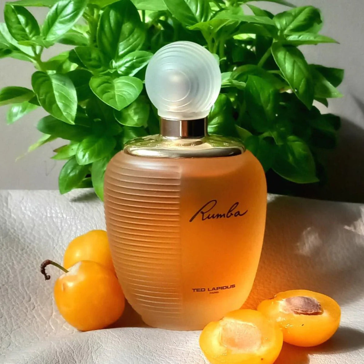 Ted Lapidus - Rumba - Eau de Toilette pour femme